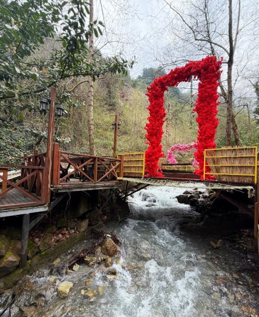 Sapanca Maşukiye
